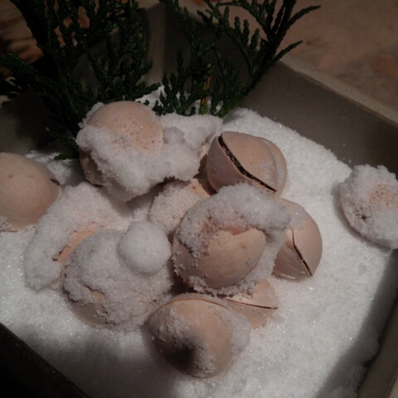 ぎんなん(ゆう)