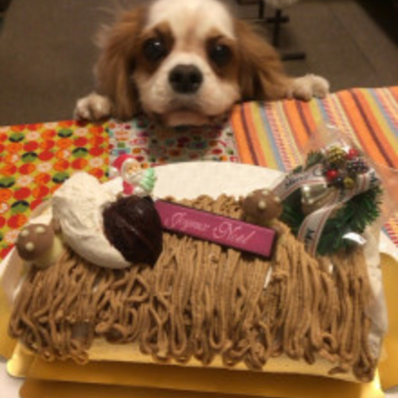 モンブランブッシュドノエル(ラデュグーテ )