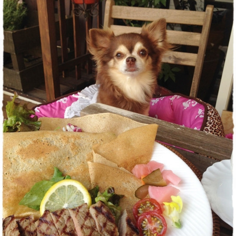 ステーキガレット(リビエラカフェ グリーンスタイル)