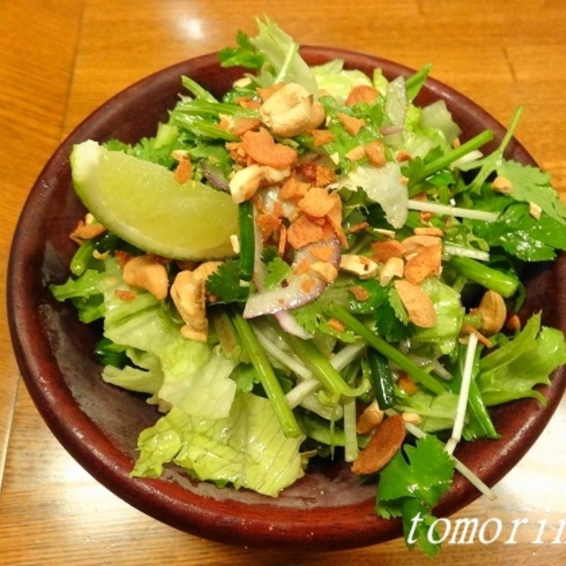 たっぷりパクチーのタイ風サラダ(ワインホール)
