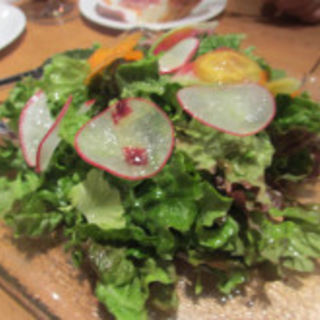 ◆三浦野菜の彩りサラダ(ル・プティ・マルシェ)