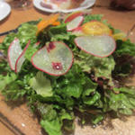 ◆三浦野菜の彩りサラダ