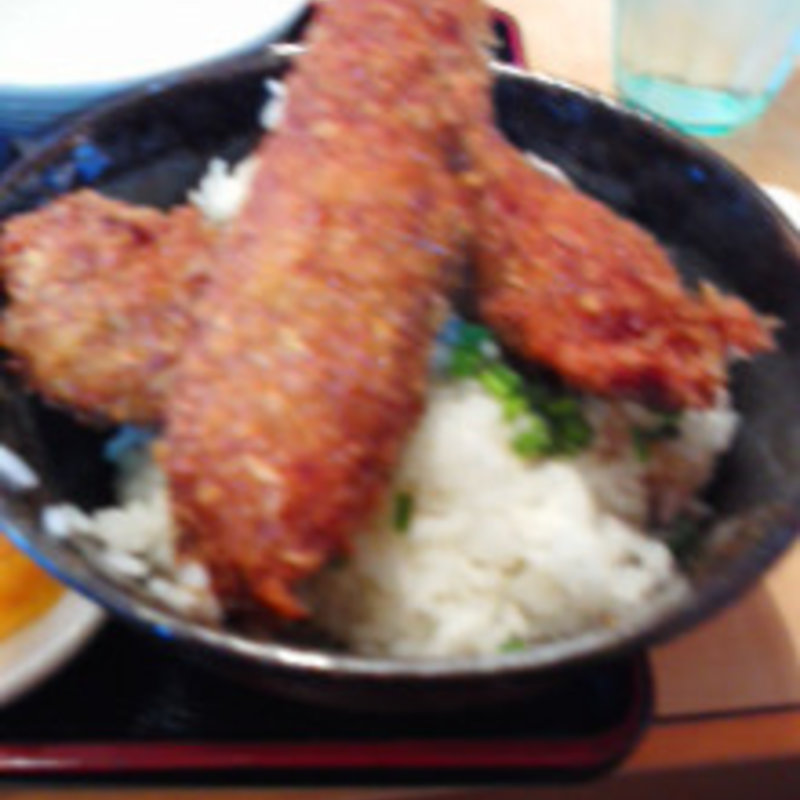 醤油カツ丼セット(わだ泉 本店（守山店）)