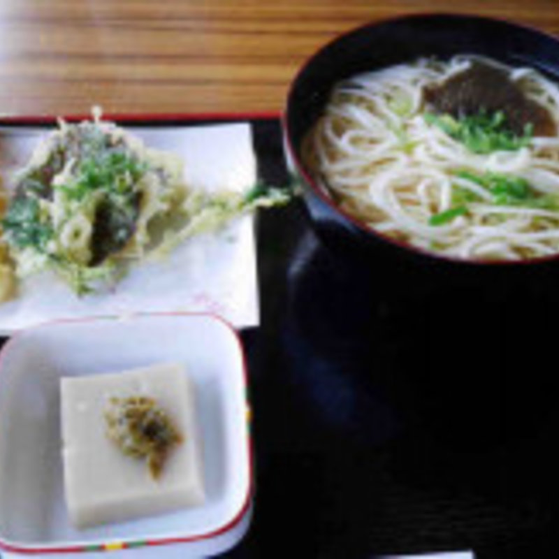 葛うどん天ぷら定食(一休庵 )