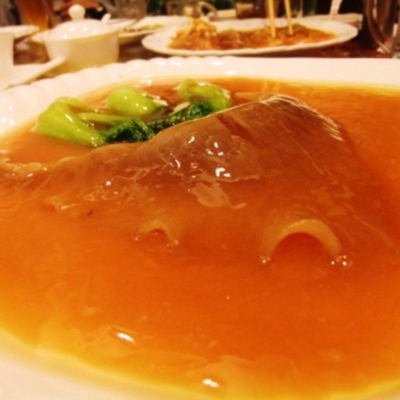最上級フカヒレ姿煮(中国食府 双龍居 天満駅前店 )