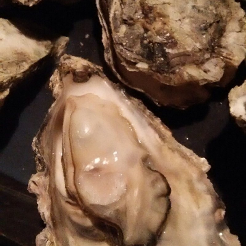 焼牡蠣(串石 （SENGOKU）)