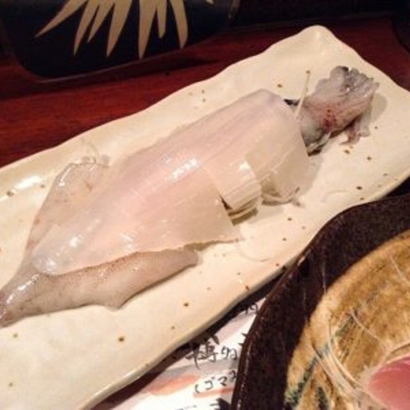 ヤリイカ姿造り(九州の地魚料理 侍 浜松町店)