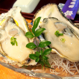 牡蠣(亀喜寿司 （かめきずし）)