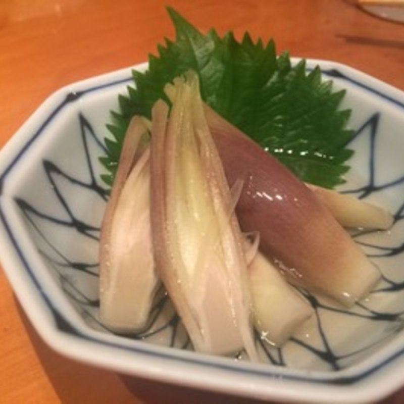 ミョウガ(二○加屋 長介)