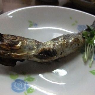 丸干し(佐藤酒店)