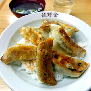 餃子丼(佐野金)