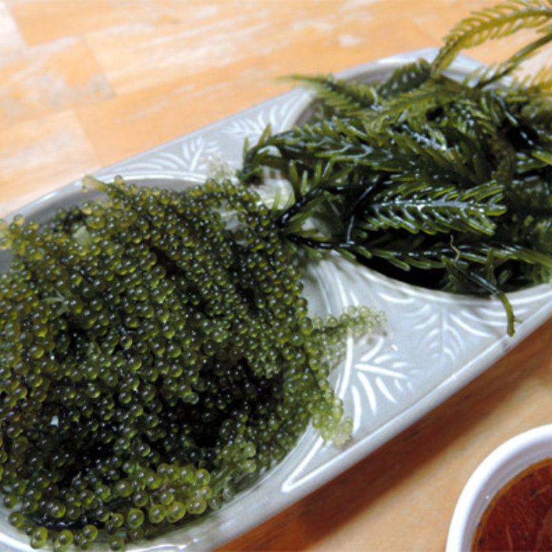 海ぶどうと海のエンジェルの食べ比べ(元祖 海ぶどう 本店 （うみぶどう）)