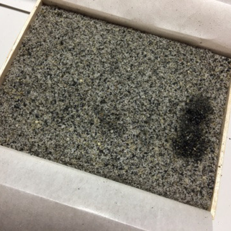 づくめ団子(北の和菓子  四代  嘉心)