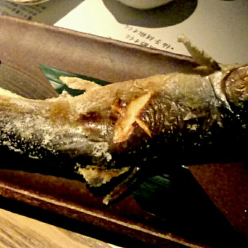 チップ塩焼き(十六夜)