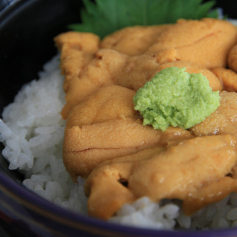 生うに丼(千畳敷センター )