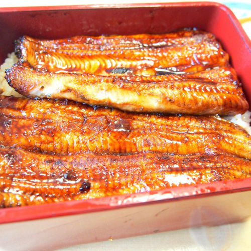 神奈川県で食べられるうな重人気30選 Sarah サラ