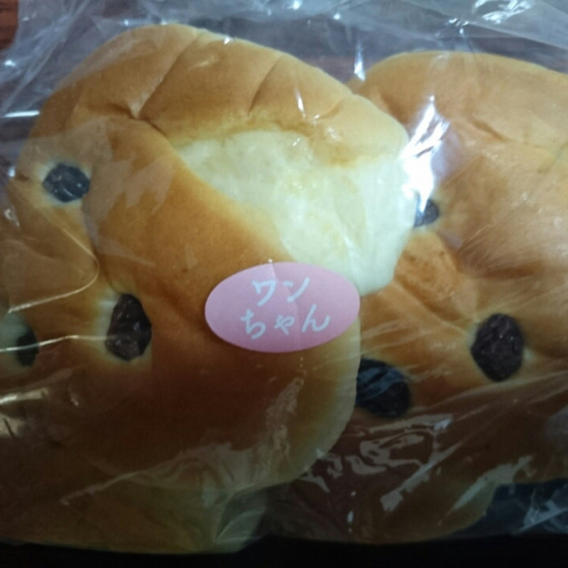 ワンちゃん(友永 （トモナガパンヤ）)