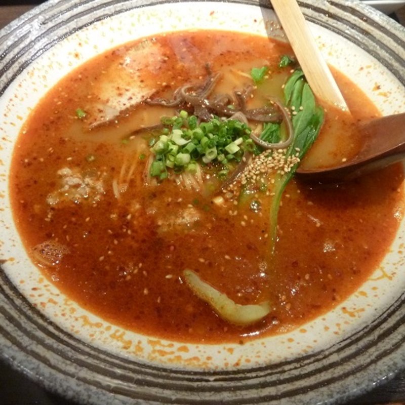 双龍ピリ辛坦々麺(双龍ラーメン )