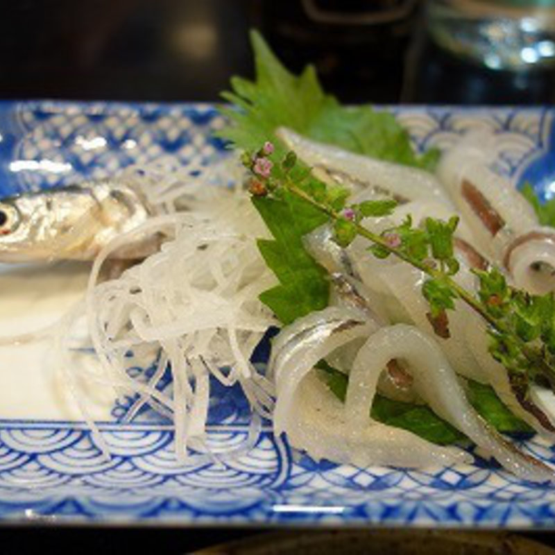 サヨリ(腹黒)(味膳すずき)