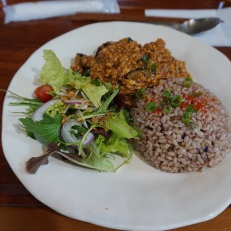 キーマカレー玄米(和sian-cafe aimaki （ワジアンカフェ・アイマキ）)