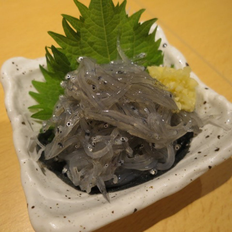 湘南直送生しらす(哉吉 )