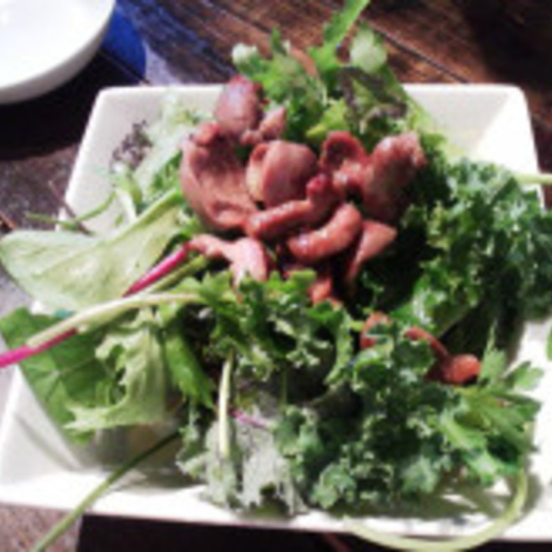 砂ずりのサラダ(四一餃子)