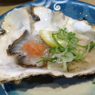 岩牡蠣(回転すし 日本一 千日前店 )