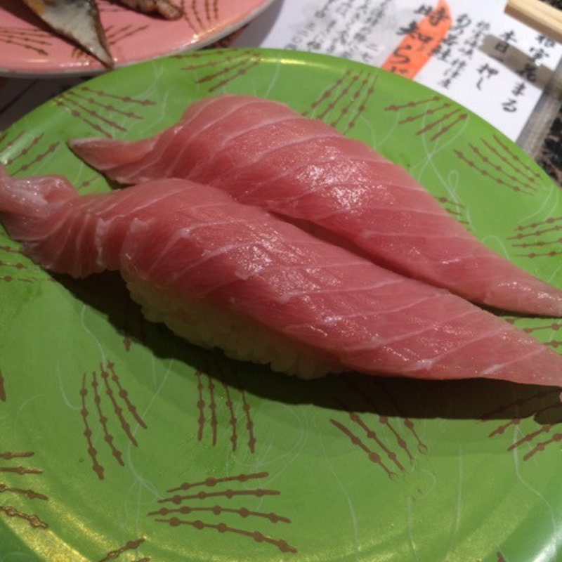 中トロ(回転寿司根室花まる JRタワーステラプレイス店)