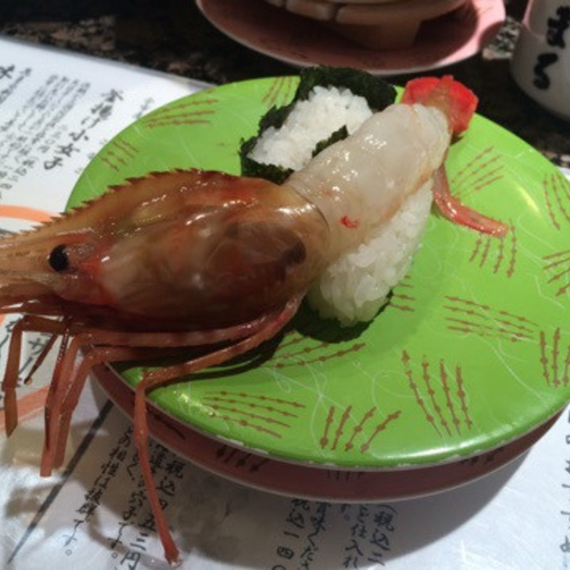 大海老のにぎり(回転寿司根室花まる JRタワーステラプレイス店)