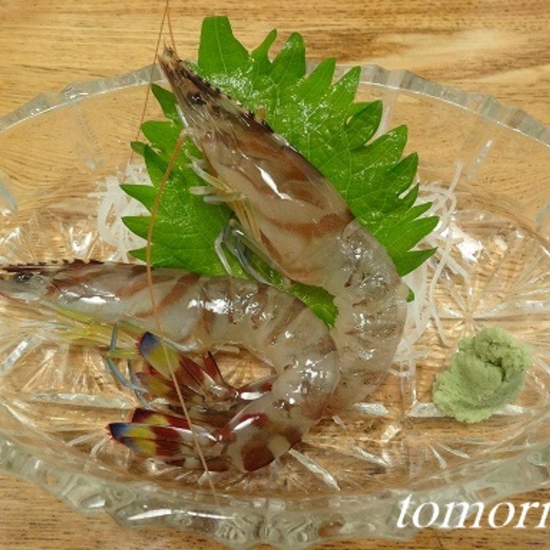 活　車エビの踊り食い(地魚料理 みつはし )