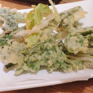 季節の山菜天ぷら(うどん 山菜 塩屋 (しおや))