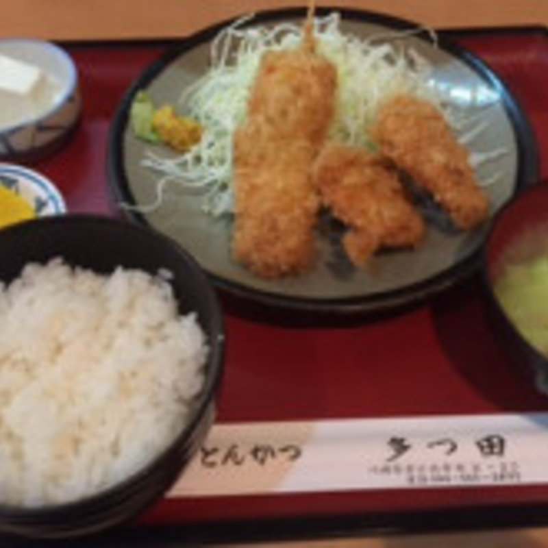 ひれかつ 串かつ(多つ田)