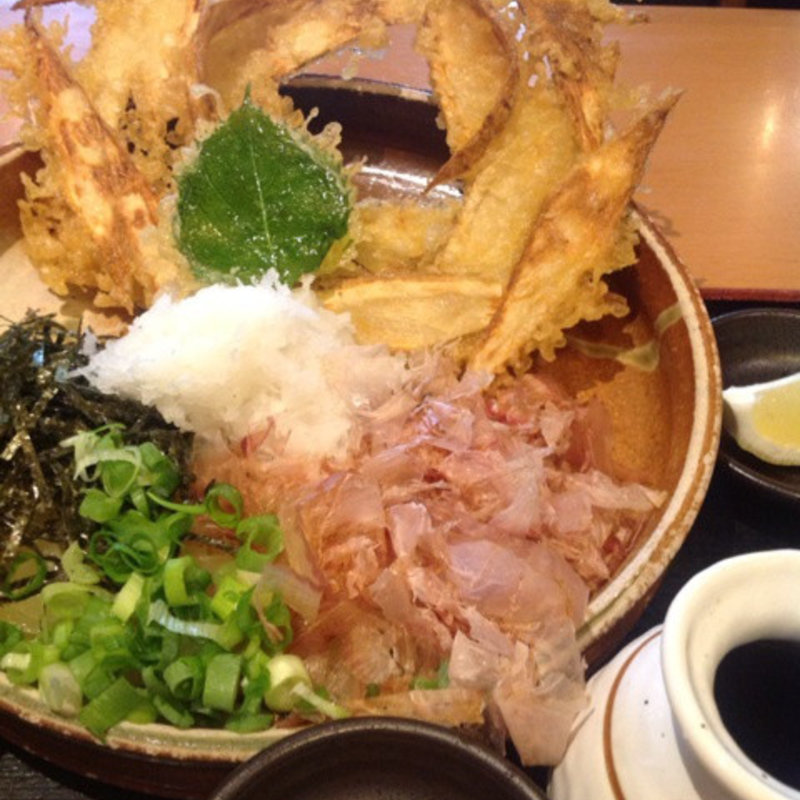 ごぼう天ぶっかけ（温）(大地のうどん　博多駅ちかてん)