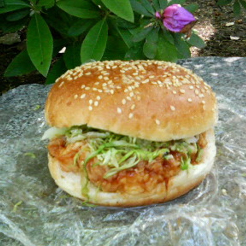 天バーガー(天冨良かんの)