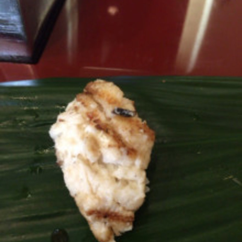 あなご（塩）(yakko)