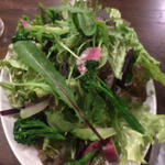 糸島野菜のサラダ