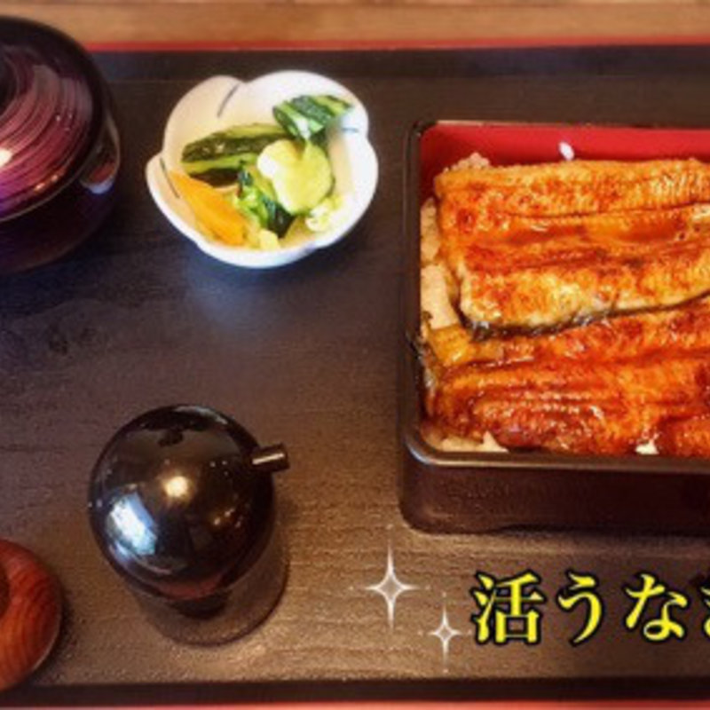 うな重(寿しの清元 )