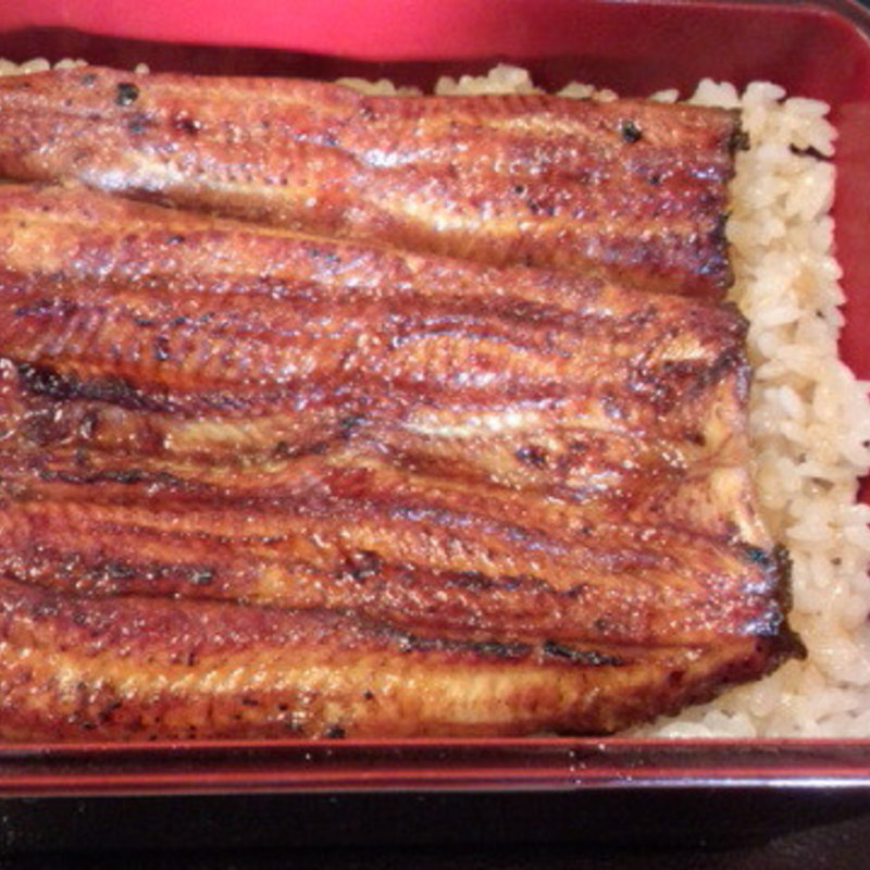 鰻重(うなぎ 小島屋)