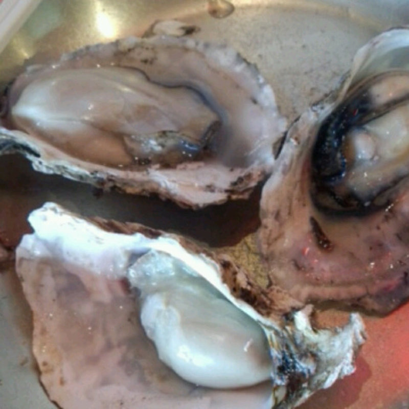 かき(小田原早川漁村)