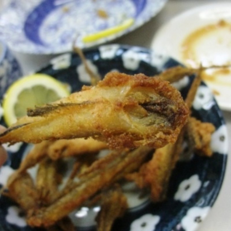 ガッチョ(小藤食堂)