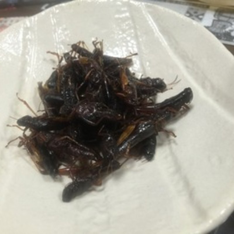 いなご(山形田 )