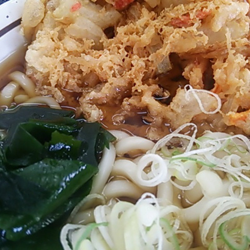 かき揚げ天ぷらうどん(山田うどん )
