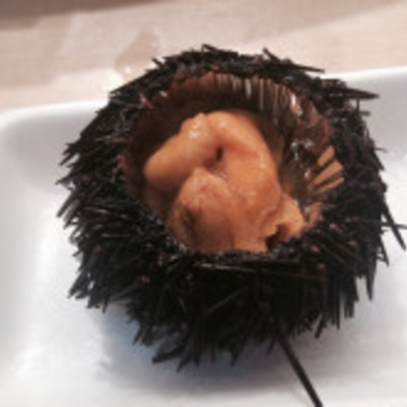 ウニ(島田水産 )