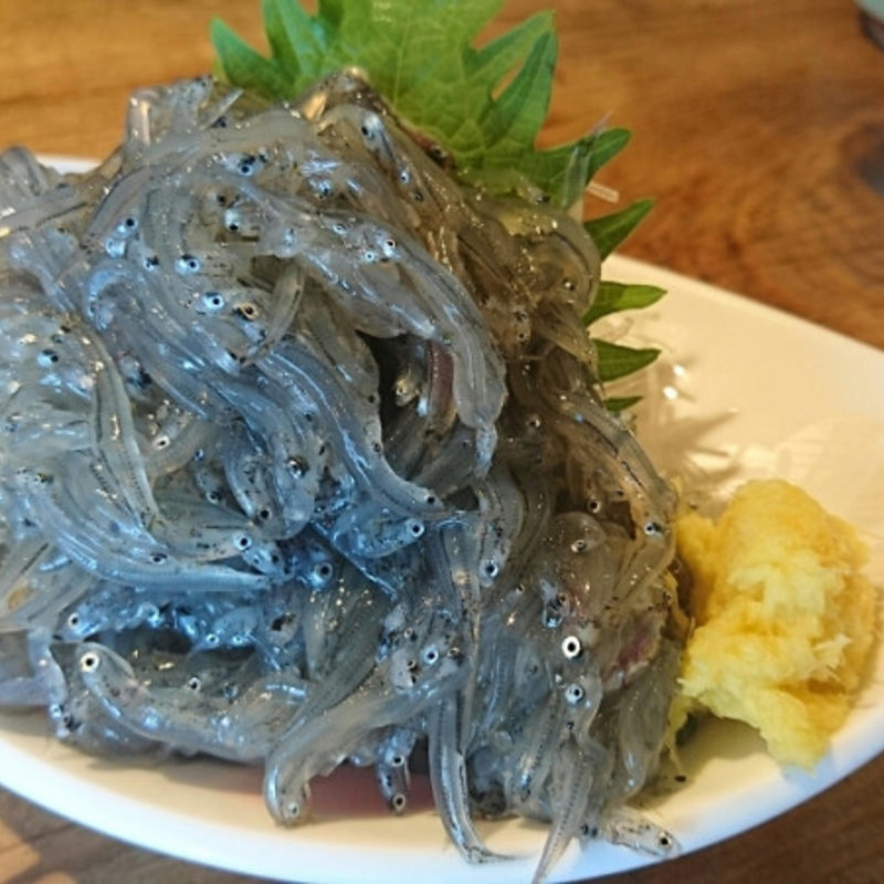 生シラスのお刺身(庄和丸)