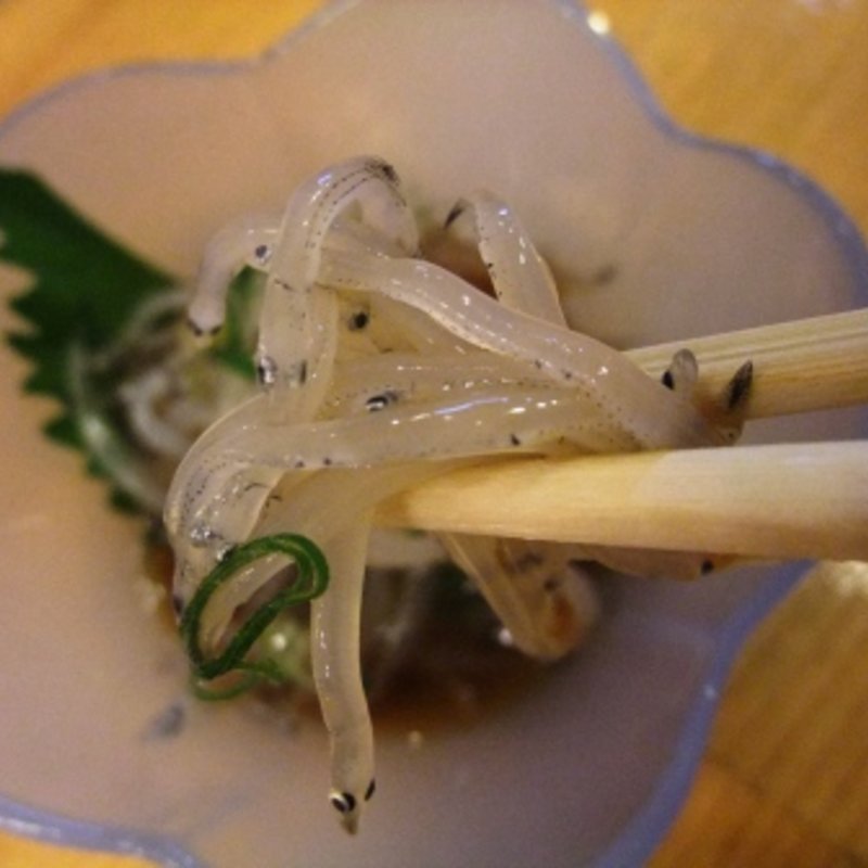 白うお(得一 谷九店)