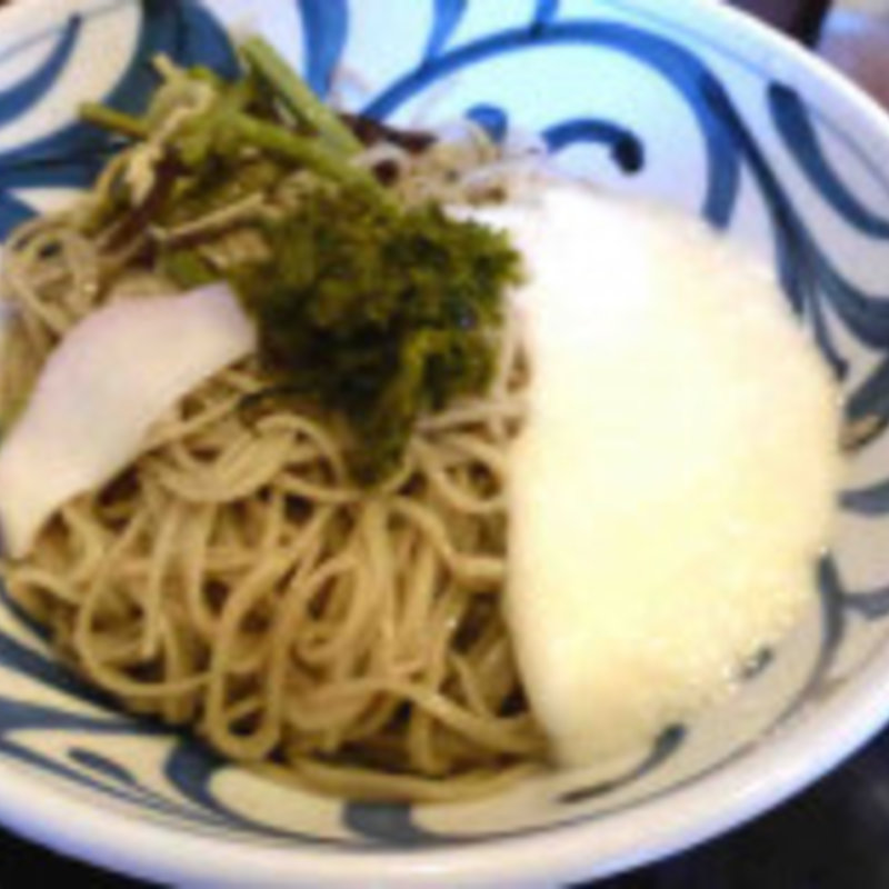 トロロそば(志な乃 （しなの）)
