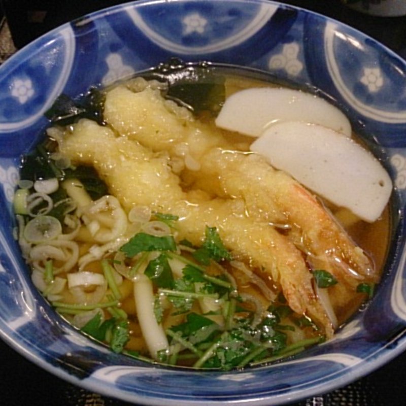 天ぷらうどん(手延べうどん むぎの里)