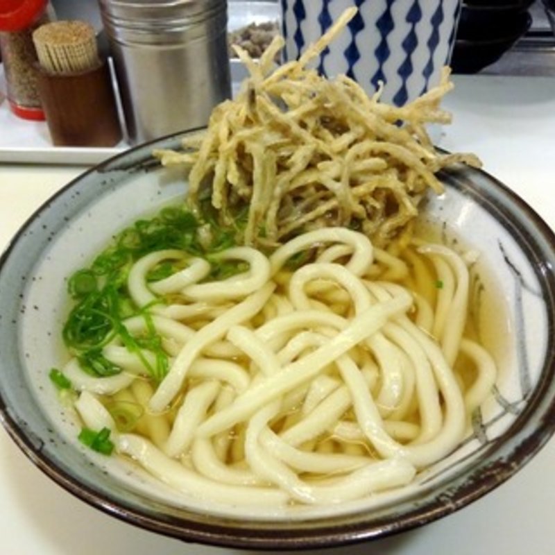 ごぼう天うどん(星のうどん （ほしのうどん）)
