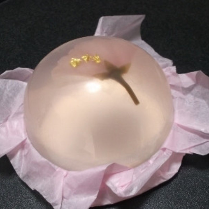 桜ゼリー(本たちばな )