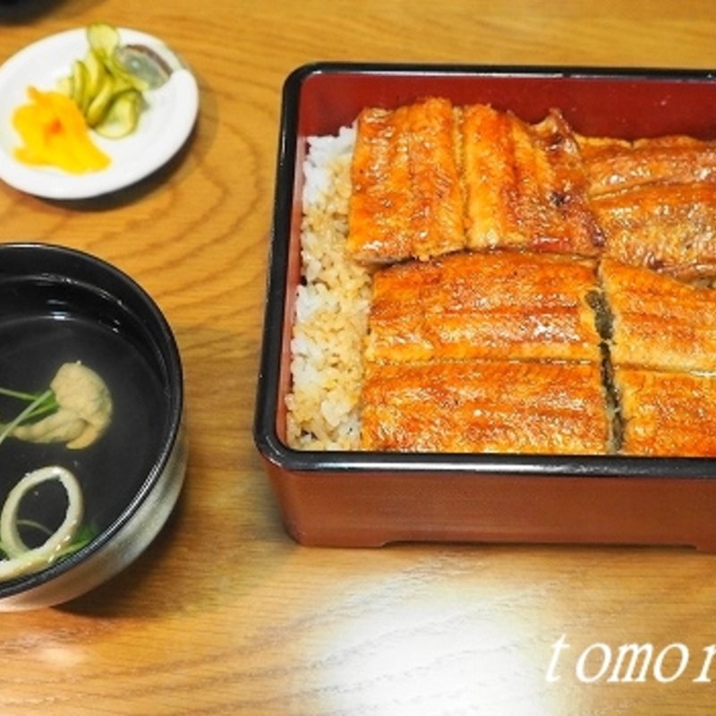 大阪まむし（蘭）(本家 柴藤)